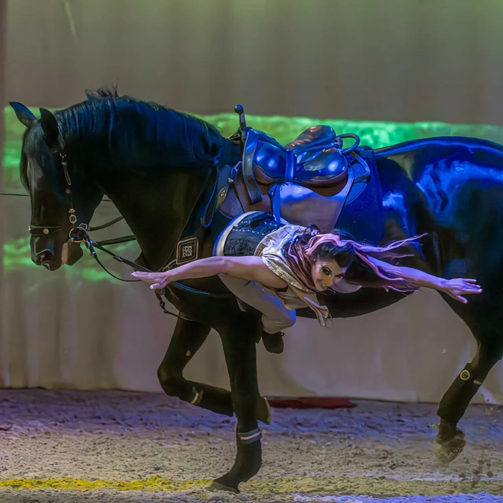 Acrobate pour un spectacle équestre au haras du national du Pin, lieu référent du Groupe Silam.