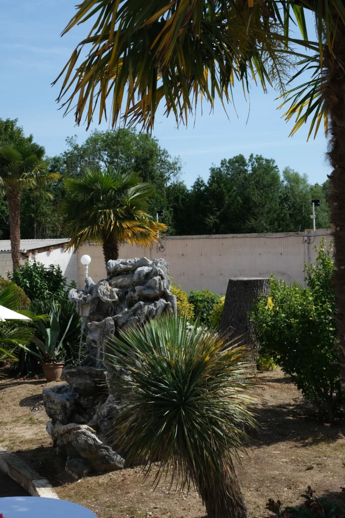 Plantes de la villa Murcia, lieu référent du Groupe Silam en Normandie.