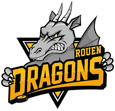Le Groupe Silam est partenaire des Dragons de Rouen.