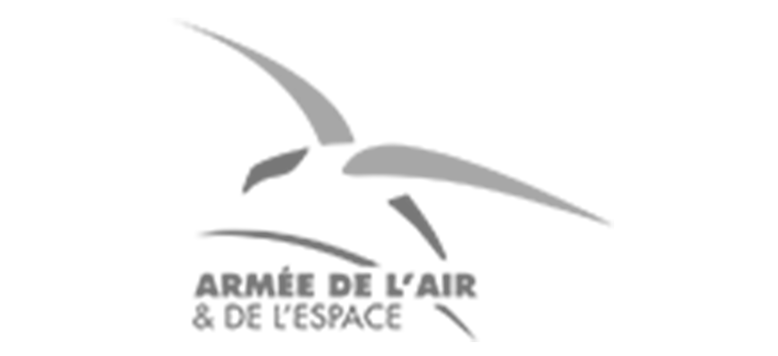 Logo de l'Armée de l'air. Groupe Silam agence événementielle à Rouen.