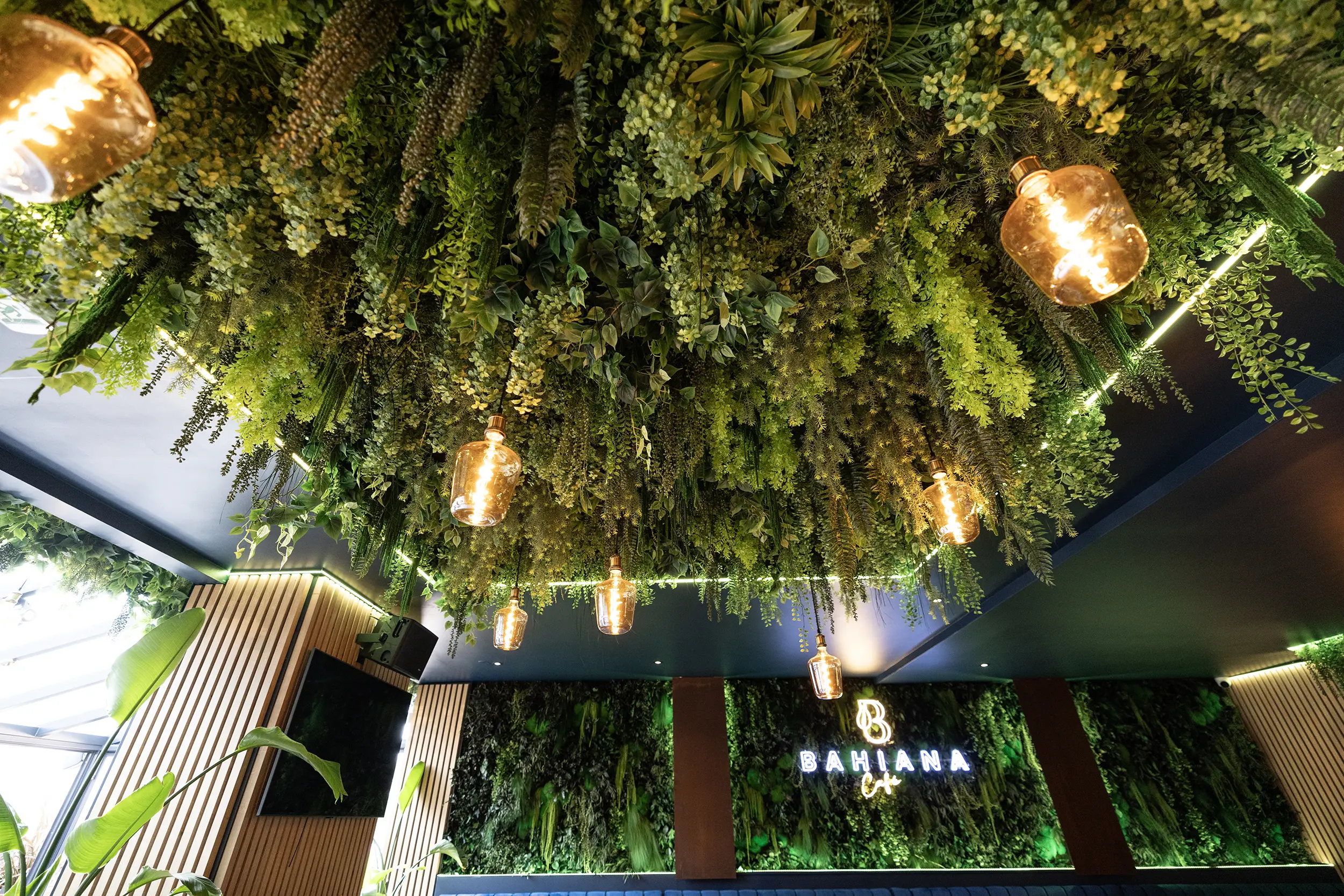 Plafond végétal et ampoules du Bahiana Café. C'est un bar restaurant à Paris aménagé en son et lumière par le Groupe Silam.